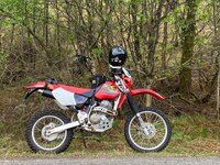 IMG_9484.jpeg