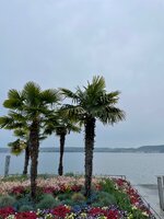 IMG_3943.jpeg
