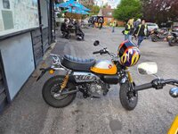 IMG_4437.jpeg