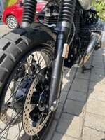 IMG_8010.jpeg