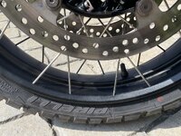 IMG_8025.jpeg