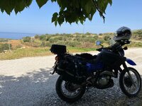 IMG_0135.jpeg