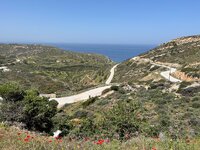 IMG_0138.jpeg