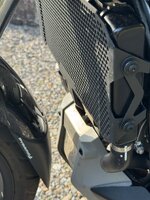 IMG_2073.jpeg