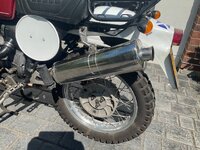 IMG_0320.jpeg
