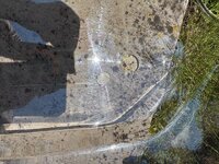 IMG_9616.jpeg