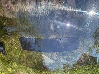 IMG_9619.jpeg