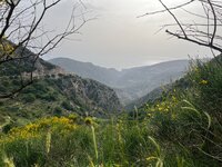 IMG_0159.jpeg