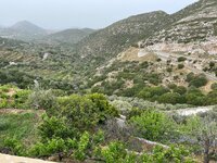 IMG_0161.jpeg