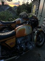 IMG_2035.jpeg