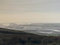 IMG_4076.jpeg