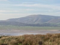 IMG_4075.jpeg