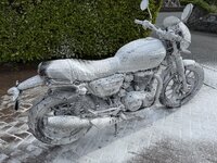 IMG_6302.jpeg