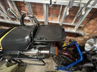 IMG_5396.jpeg