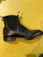 IMG_0498.jpeg