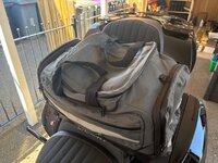 IMG_0004.jpeg