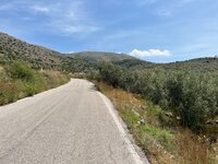 IMG_0256.jpeg