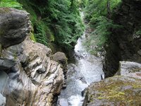 IMG_0530 (Medium).JPG