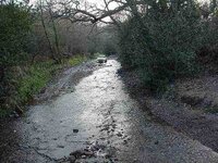 Boggle Hole ford.jpg