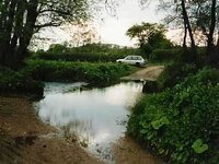 ellerbeck1.jpg