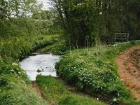 ellerbeck2.jpg