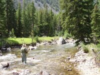 W Fork Rock Creek.jpg