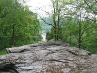IMG_0533 (Small).JPG