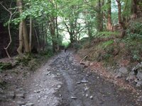 Llangollen 2007 028.jpg
