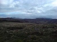 DSC02081.jpg