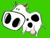 cowlicking.gif