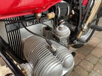 IMG_6707.jpeg