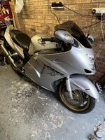 IMG_6531.jpeg
