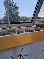 20250516_045124.jpg
