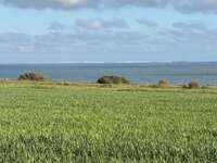IMG_6104.jpeg