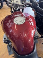 IMG_6458.jpeg IMG_6458.jpeg