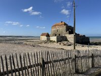 IMG_6130.jpeg