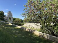 IMG_6136.jpeg