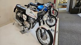 IMG-20250516-WA0065.jpg