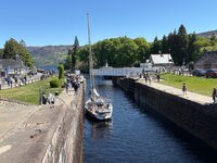 IMG_3523.jpeg