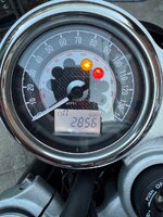 IMG_7383.jpeg IMG_7383.jpeg