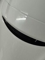 IMG_4966.jpeg