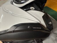 IMG_4972.jpeg