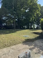 IMG_6501.jpeg