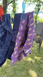 IMG_6334.jpeg