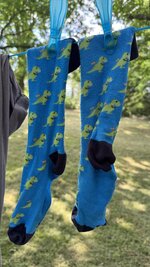 IMG_6337.jpeg