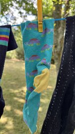 IMG_6338.jpeg