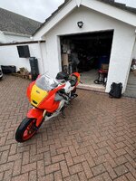 IMG_6631.jpeg