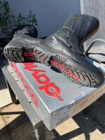 IMG_2399.jpeg