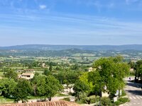 IMG_3489.jpeg