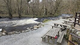20250404_122310.jpg